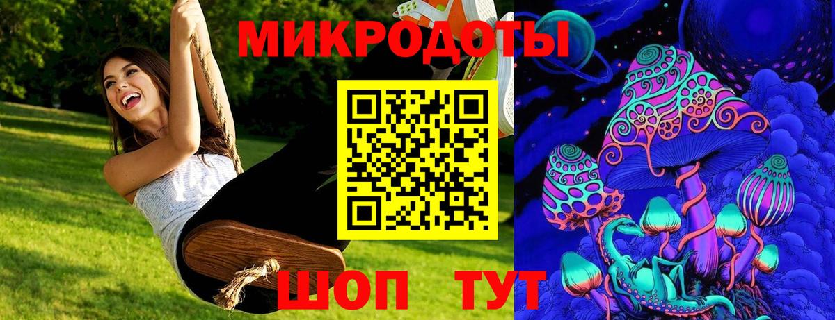Псилоцибиновые грибы Cubensis Красноармейск